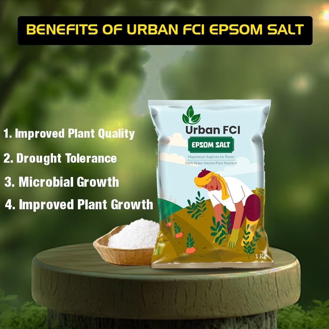 UrbanFCI Epsom Salt